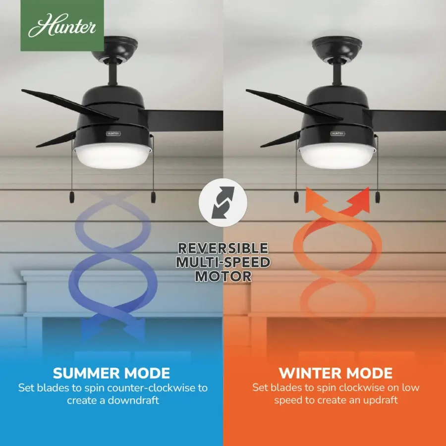 Aker with LED Light 36 inch - Image 16