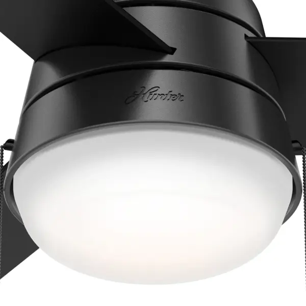 Aker with LED Light 36 inch - Image 25