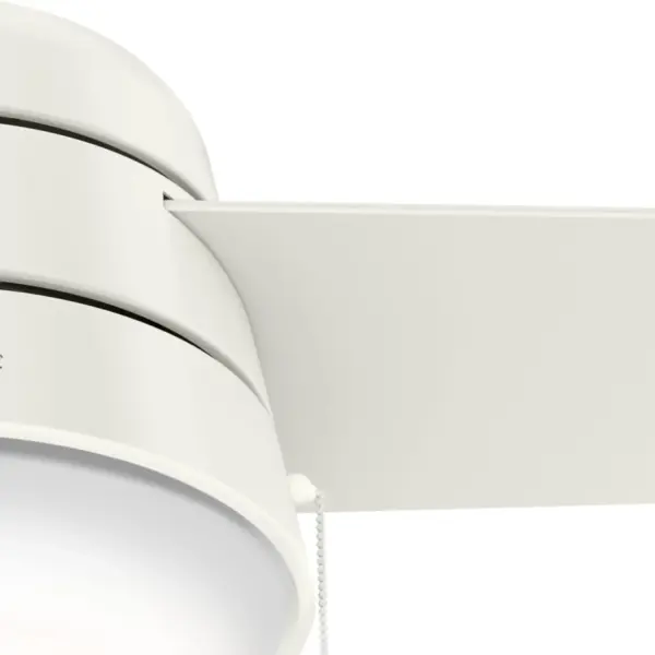 Aker with LED Light 36 inch - Image 26