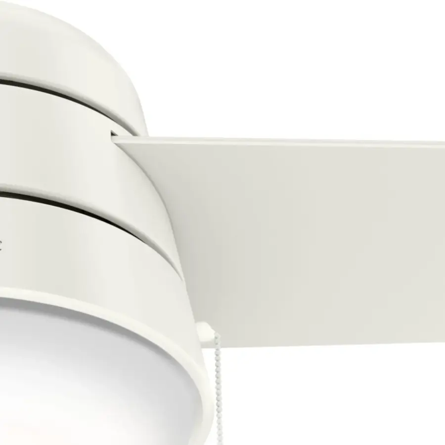 Aker with LED Light 36 inch - Image 26