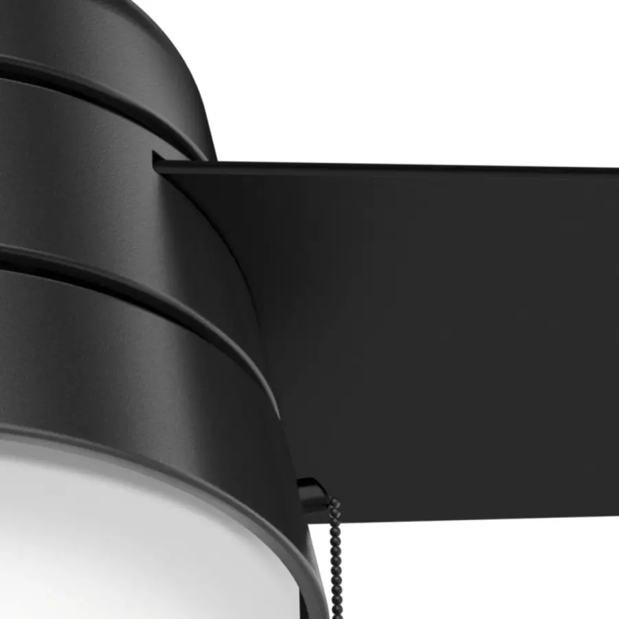 Aker with LED Light 36 inch - Image 28