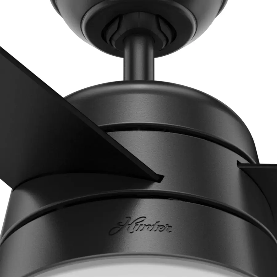 Aker with LED Light 36 inch - Image 31