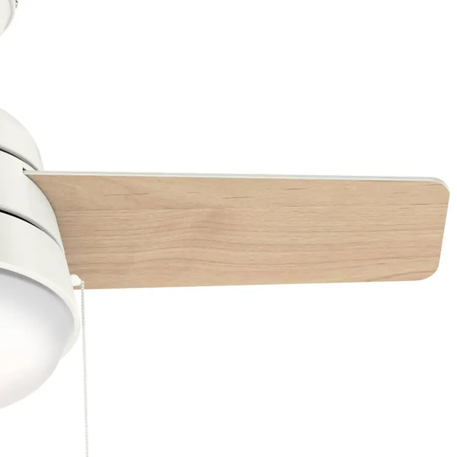 Aker with LED Light 36 inch - Image 41