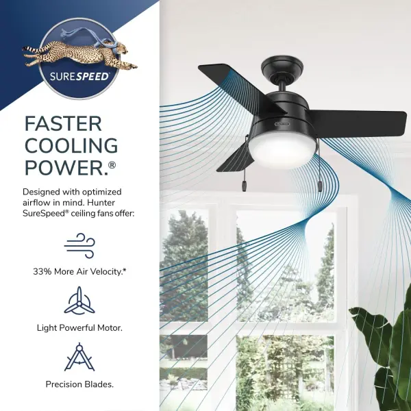 Aker with LED Light 36 inch - Image 52