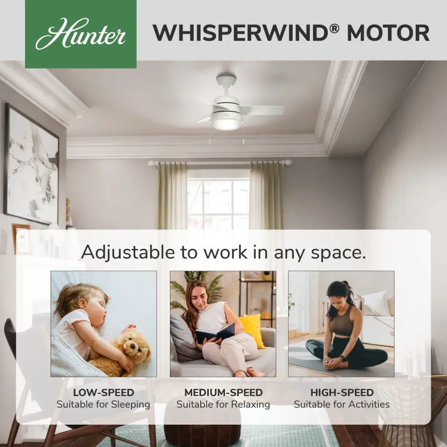 Aker with LED Light 36 inch - Image 53