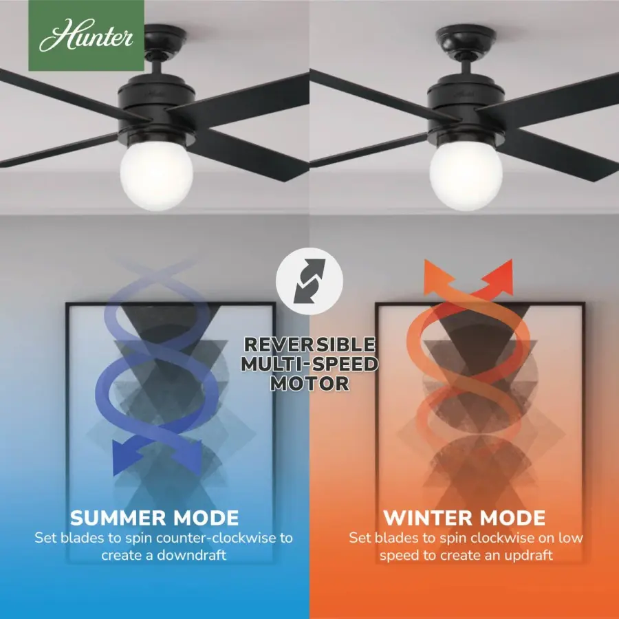 Hepburn with LED Light 52 inch - Image 11