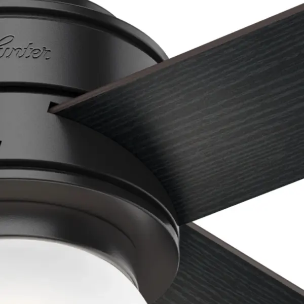 Hepburn with LED Light 52 inch - Image 21