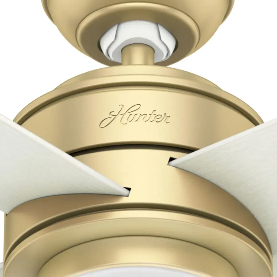 Hepburn with LED Light 52 inch - Image 22