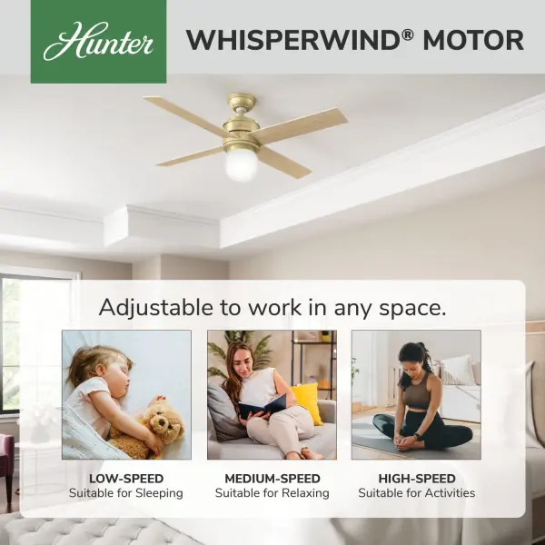 Hepburn with LED Light 52 inch - Image 32