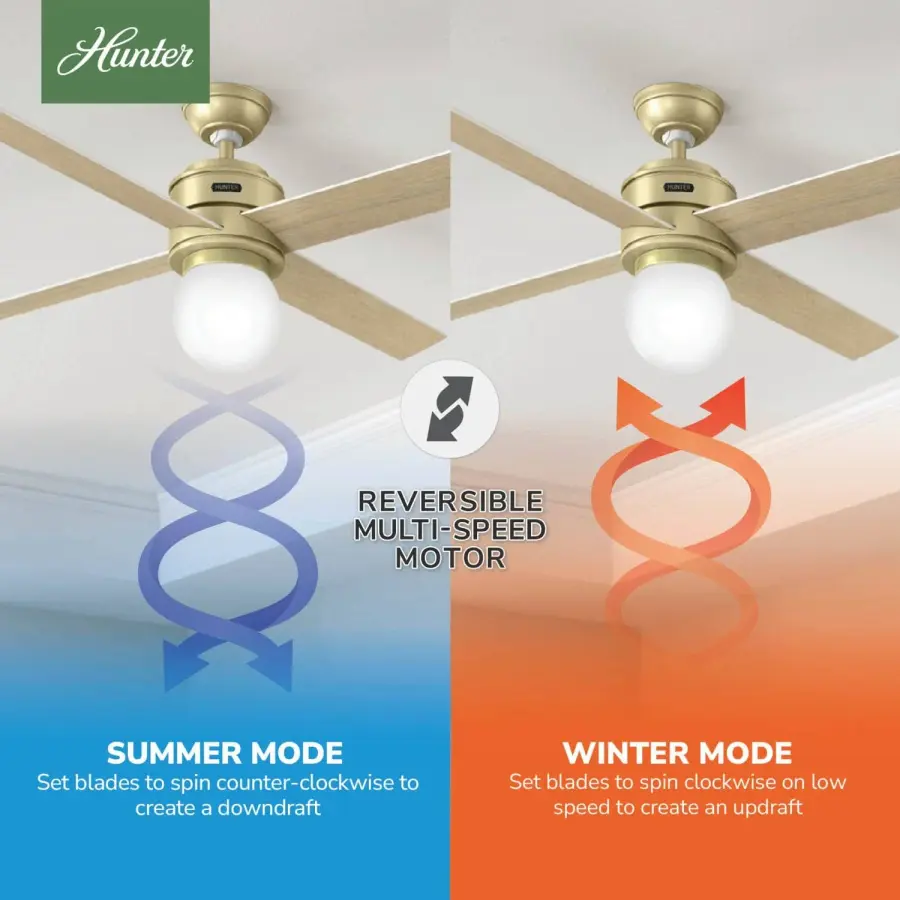 Hepburn with LED Light 52 inch - Image 10