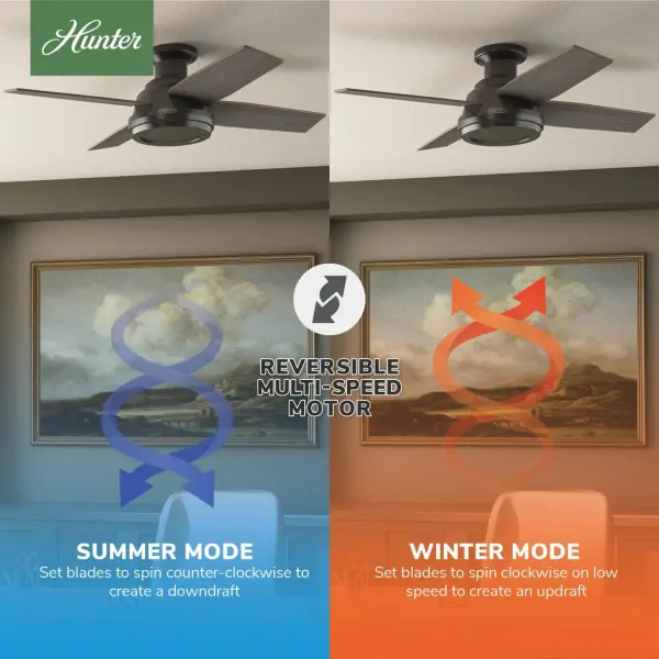Dempsey 44" Low Profile Ceiling Fan with LED Light - Image 19