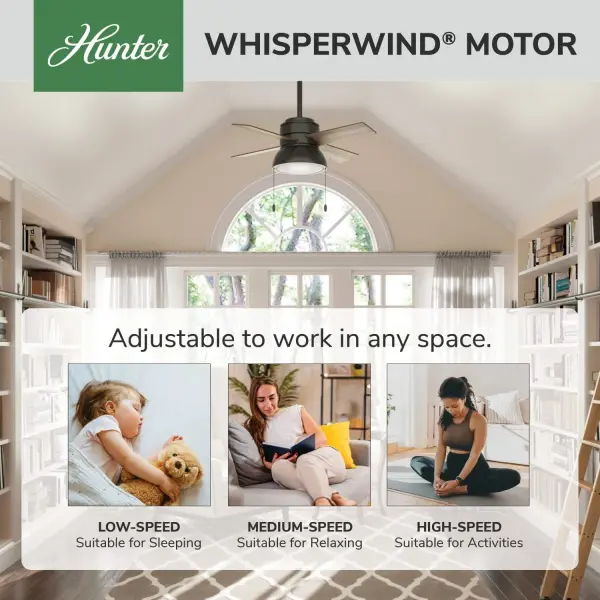 36 INCH LOKI WITH LED LIGHT - Image 59