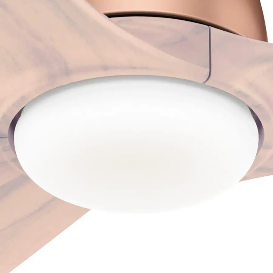 54 inch Norden with Light - Image 17