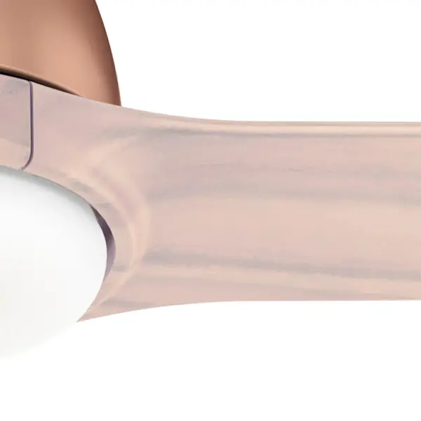 54 inch Norden with Light - Image 19