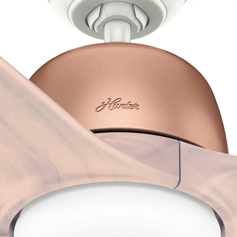 54 inch Norden with Light - Image 21