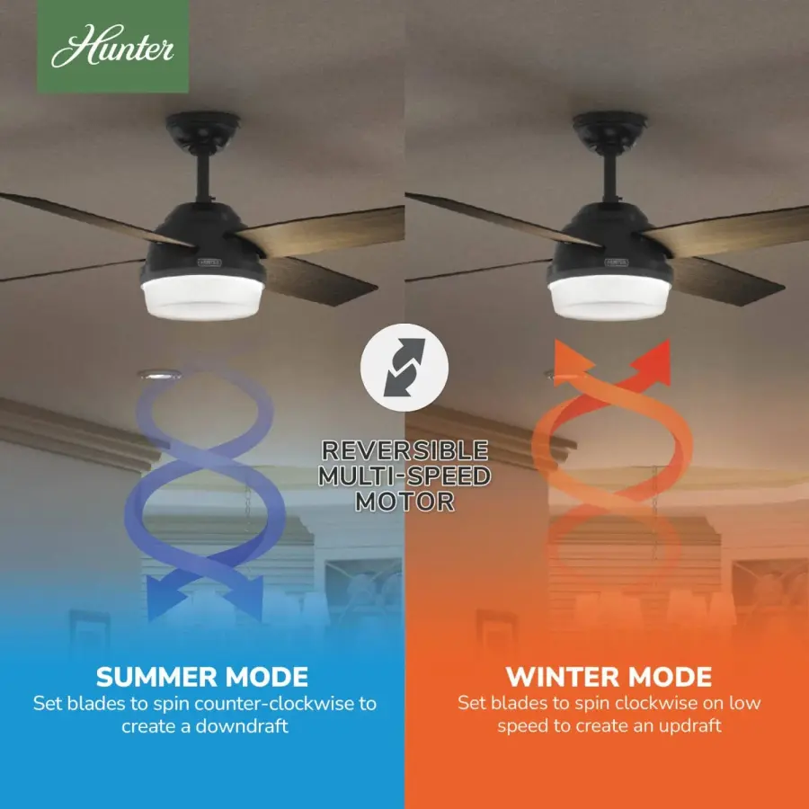 Dempsey Outdoor with Light 52 inch - Image 18