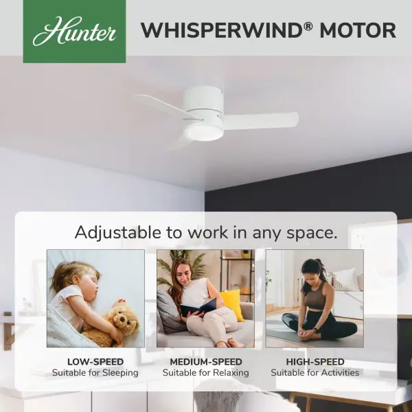 Minimus Low Profile with LED Light 44 Inch - Image 48