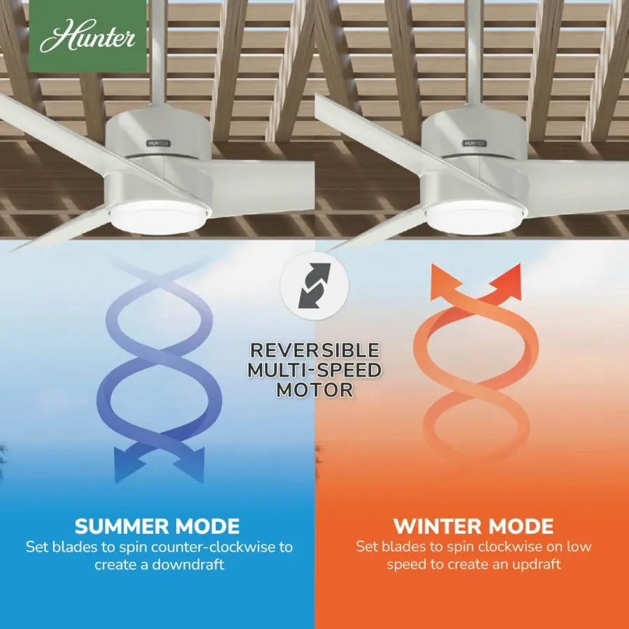 Havoc with LED Light 54 Inch - Image 12