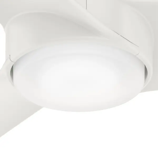 Havoc with LED Light 54 Inch - Image 23