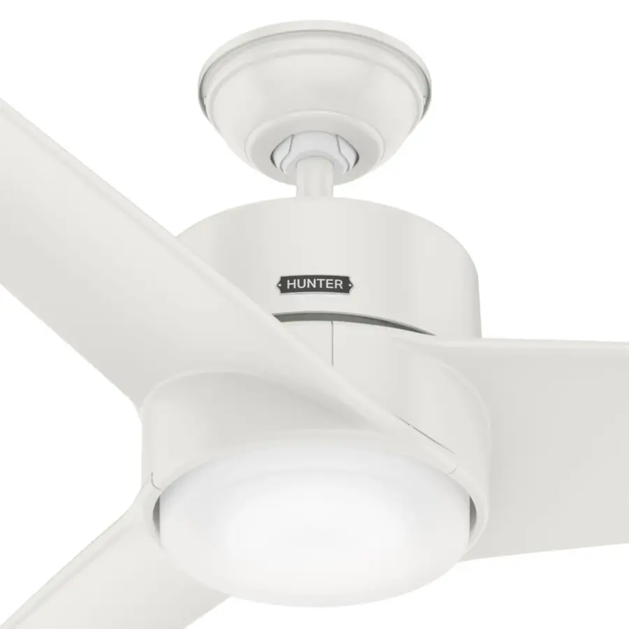 Havoc with LED Light 54 Inch - Image 27