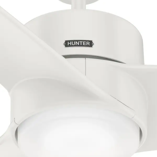 Havoc with LED Light 54 Inch - Image 4