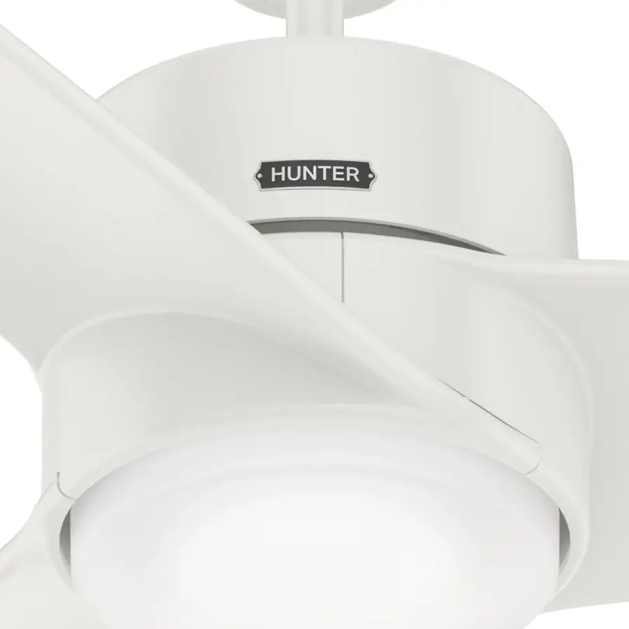 Havoc with LED Light 54 Inch - Image 4