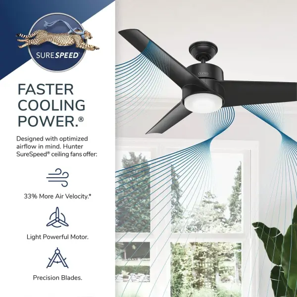 Havoc with LED Light 54 Inch - Image 34