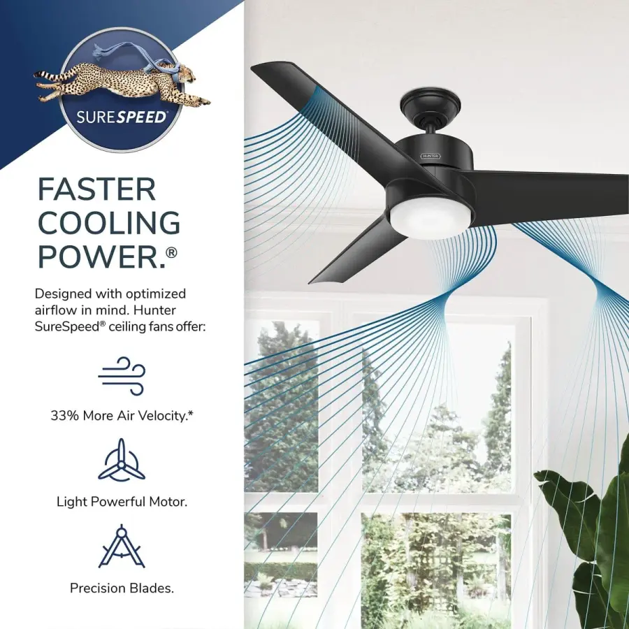 Havoc with LED Light 54 Inch - Image 35