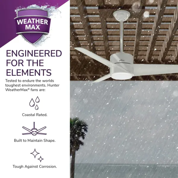 Havoc with LED Light 54 Inch - Image 36