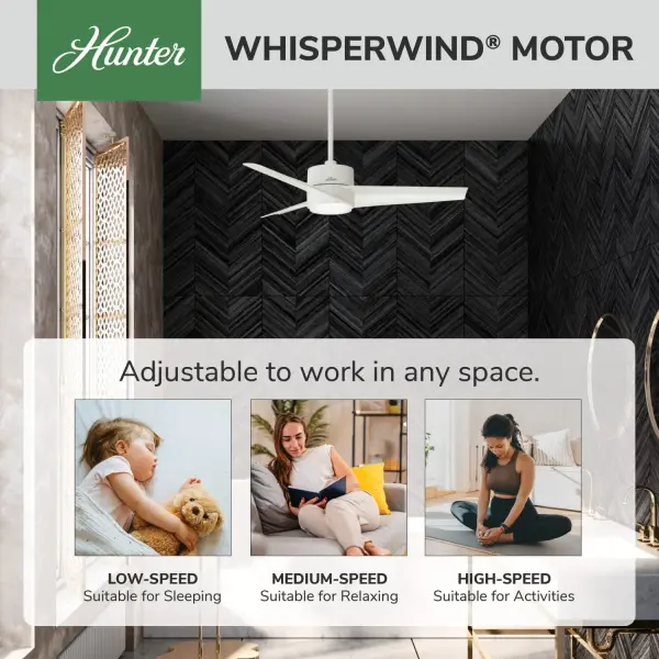 Havoc with LED Light 54 Inch - Image 37