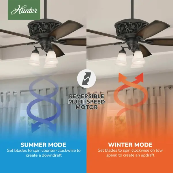 Promenade ENERGY STAR with 3 Lights 54 inch with Remote - Image 14