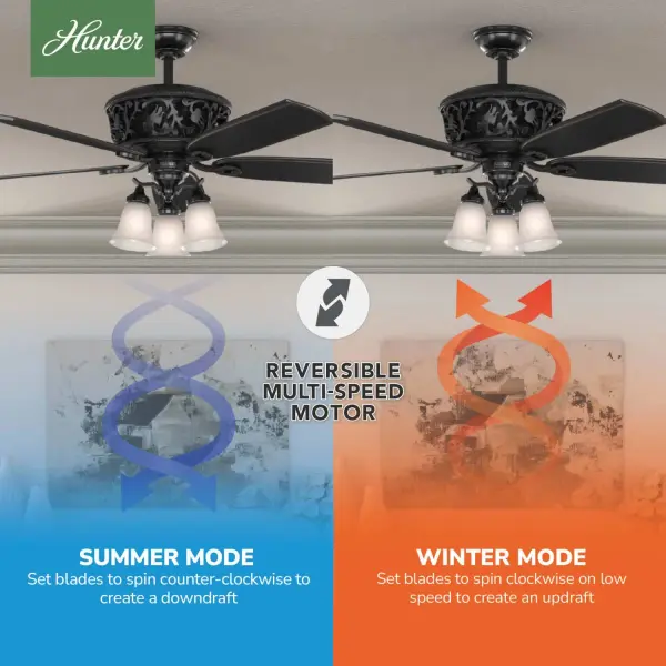 Promenade ENERGY STAR with 3 Lights 54 inch with Remote - Image 15