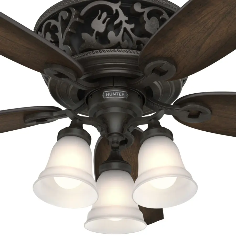 Promenade ENERGY STAR with 3 Lights 54 inch with Remote - Image 22