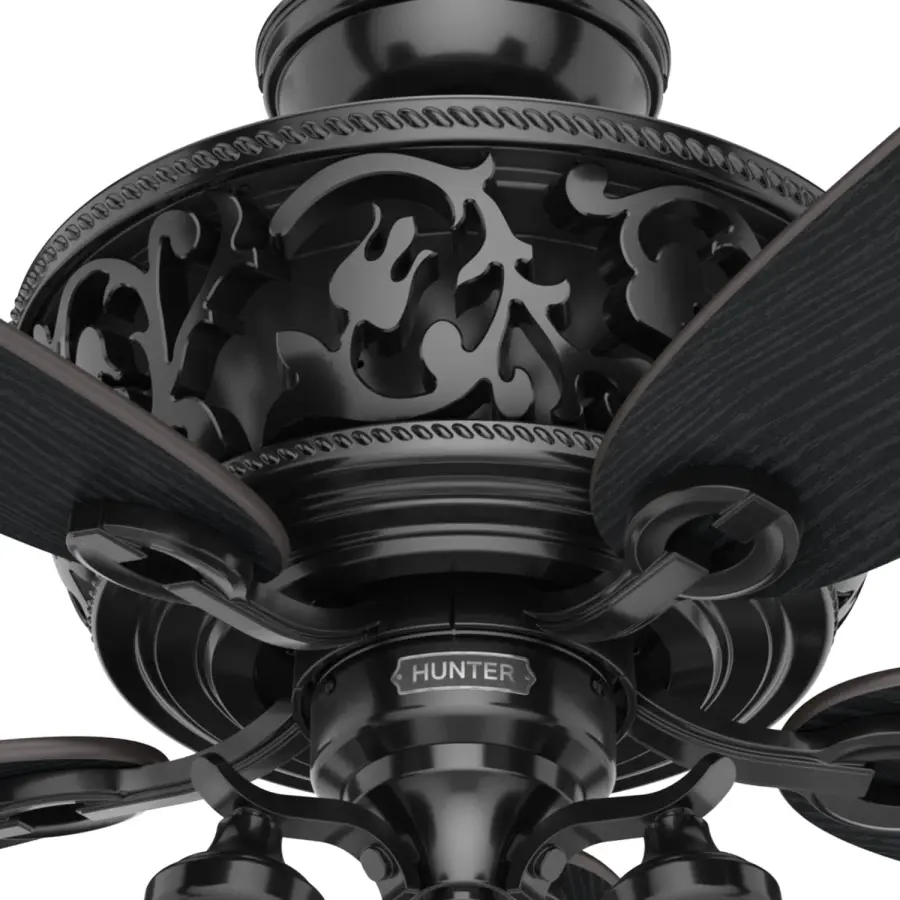 Promenade ENERGY STAR with 3 Lights 54 inch with Remote - Image 27