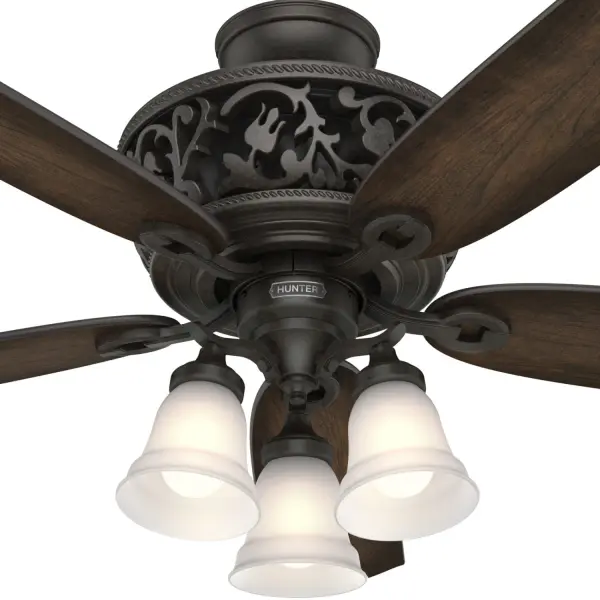 Promenade ENERGY STAR with 3 Lights 54 inch with Remote - Image 28