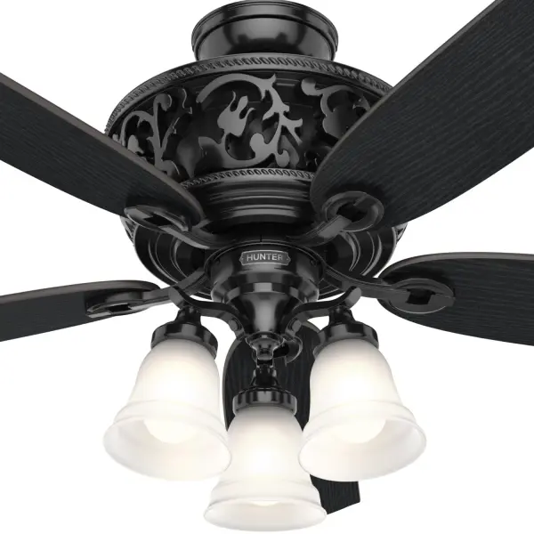 Promenade ENERGY STAR with 3 Lights 54 inch with Remote - Image 29