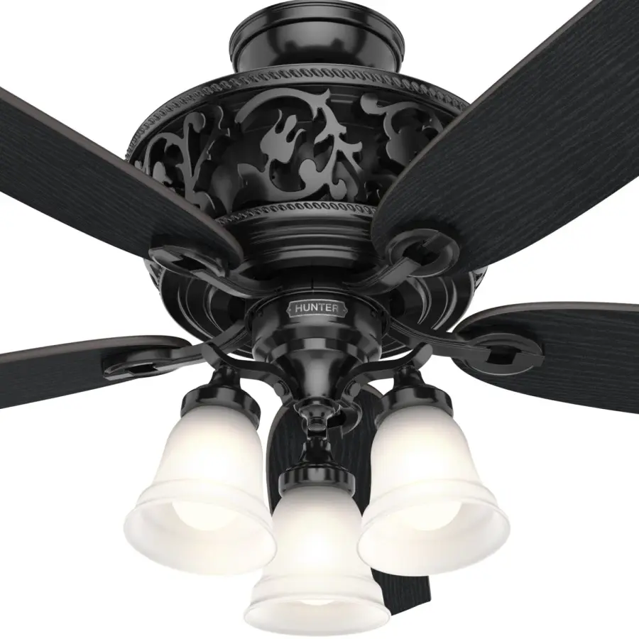 Promenade ENERGY STAR with 3 Lights 54 inch with Remote - Image 29