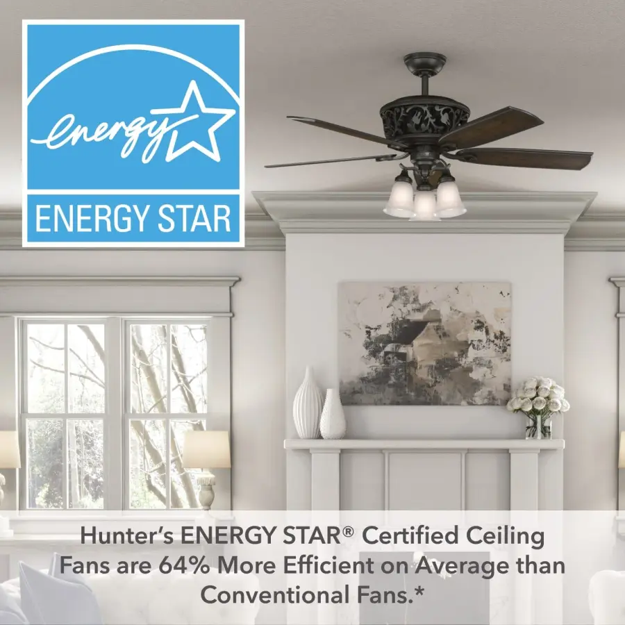 Promenade ENERGY STAR with 3 Lights 54 inch with Remote - Image 34