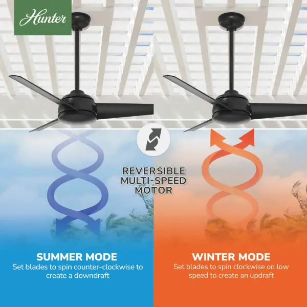 Trimaran Outdoor 52 inch - Image 21