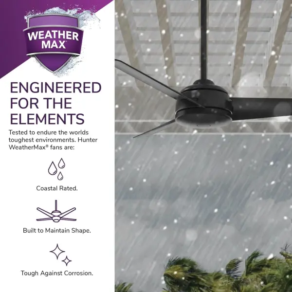 Trimaran Outdoor 52 inch - Image 61