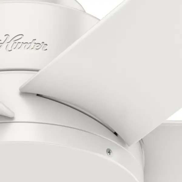 Kennicott Outdoor 44 inch - Image 55