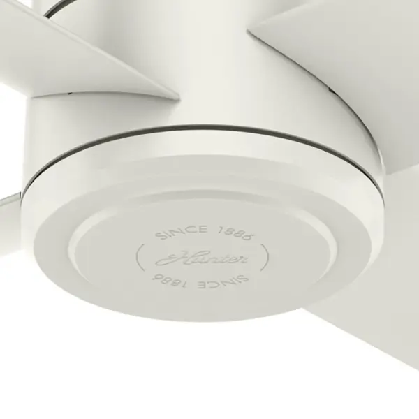 Trak Edge Outdoor 60 inches 120V - Image 23