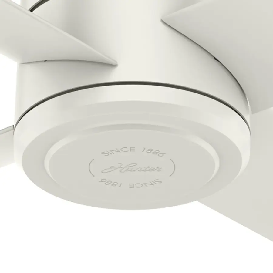 Trak Edge Outdoor 60 inches 120V - Image 23