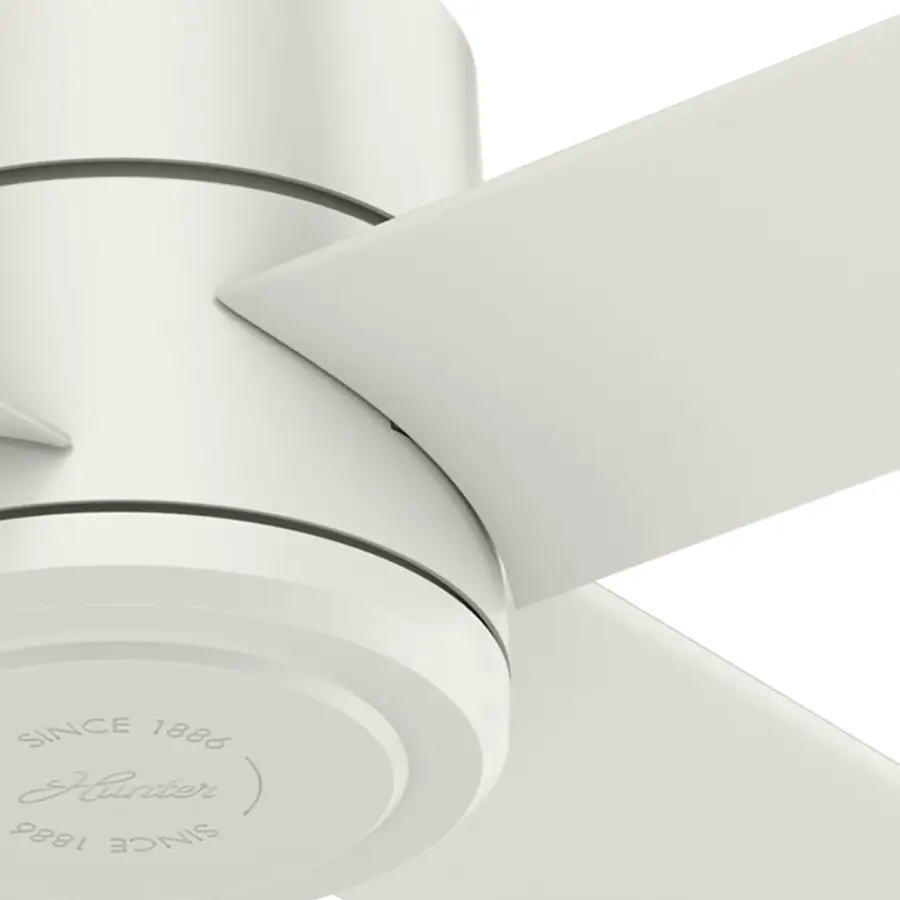 Trak Edge Outdoor 60 inches 120V - Image 26