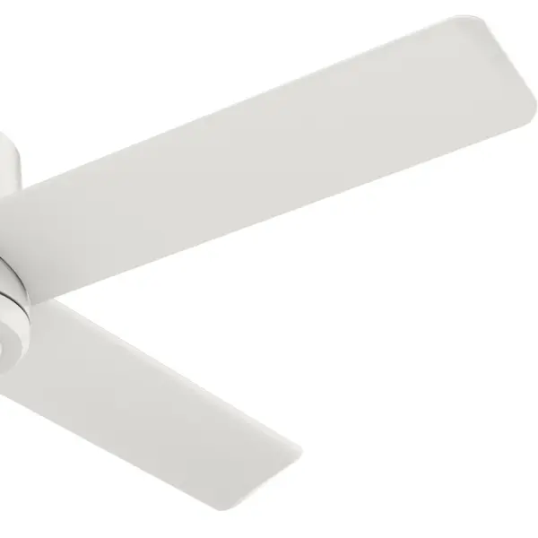 Trak Edge Outdoor 60 inches 120V - Image 32