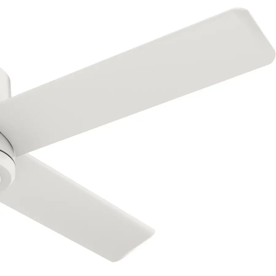 Trak Edge Outdoor 60 inches 120V - Image 32