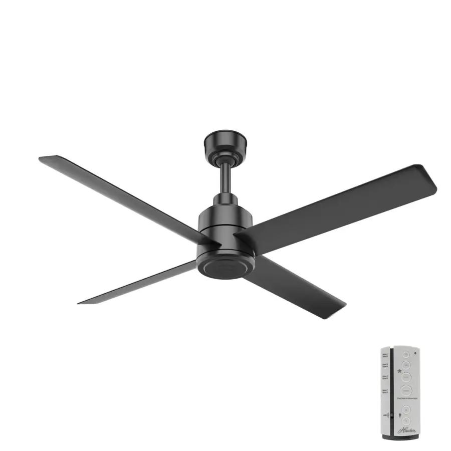 The Ceiling Fans by Hunter - Image 2