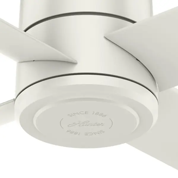 The Ceiling Fans by Hunter - Image 23