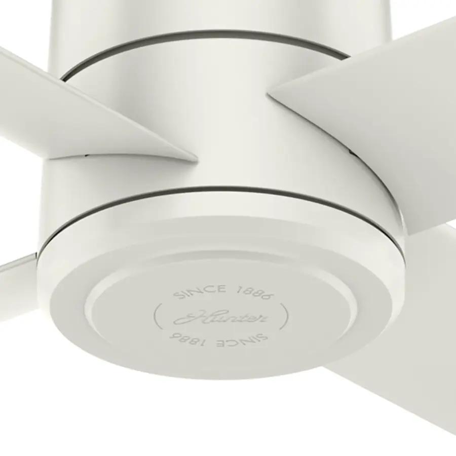 The Ceiling Fans by Hunter - Image 23