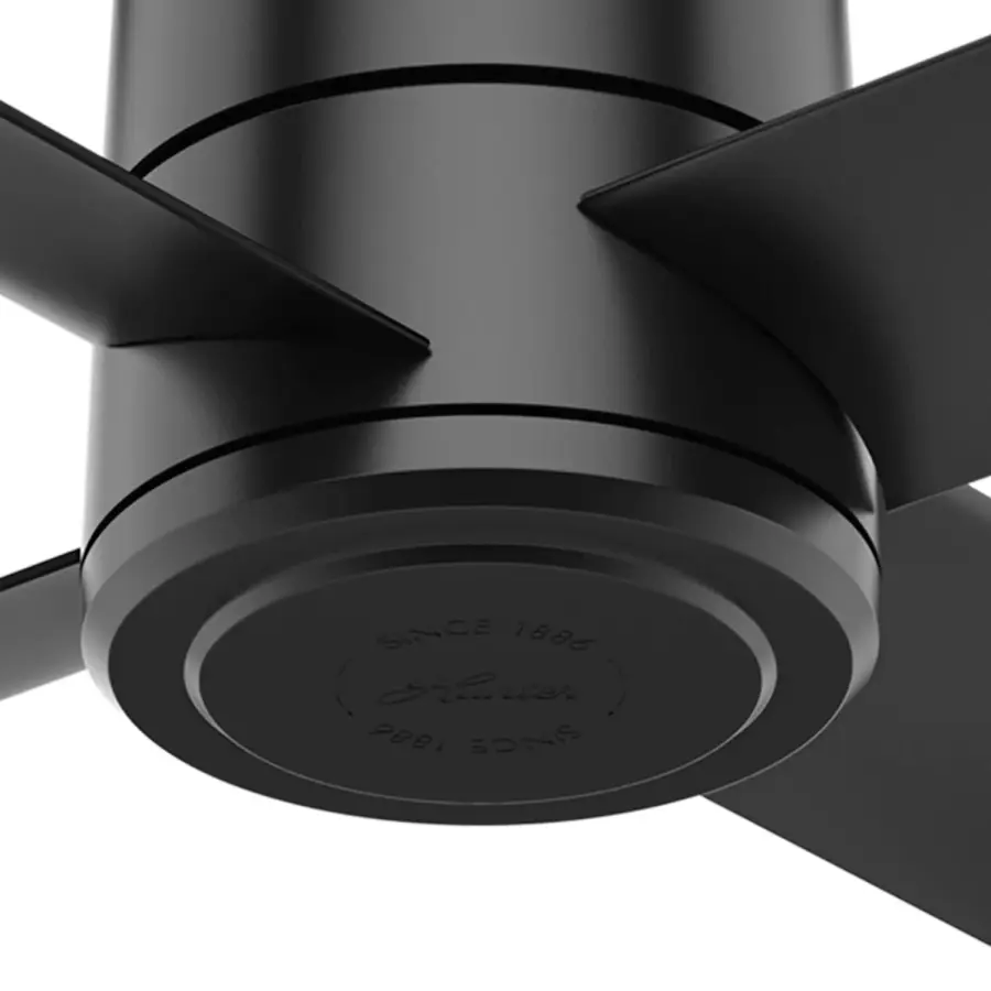 The Ceiling Fans by Hunter - Image 24